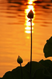 欧国联：风云际会的时刻即将到来！