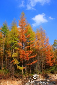 广州队惨遭江苏辽宁连续逆转，告别夺冠梦