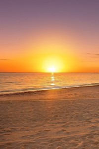 战神归来！库里爆砍分率勇士擒下森林狼