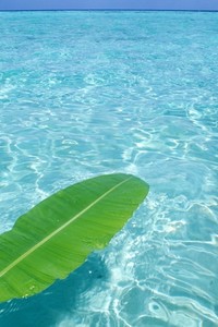 森林狼队员公开批评管理层处理问题不力