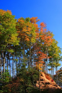 厄瓜多尔聚贤智利鞠功西班牙魏和伊德媒体欧元分组