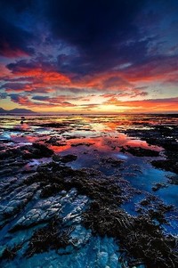 双外援联手发威，球队豪取四连胜