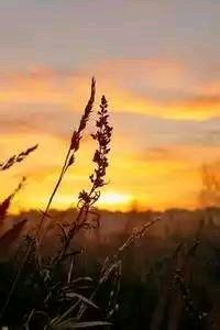 独一无二的体验：欧洲国家队的较量