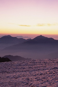 摩纳哥取胜积攒实力，逐渐回暖